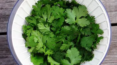 garnishing-instructions-image